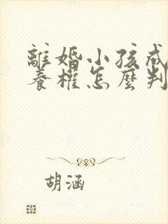 离婚小孩成年抚养权怎么判定