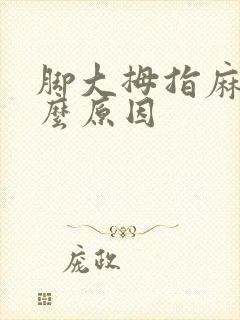 脚大拇指麻木什么原因