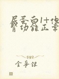 尿蛋白1+但是肾功能正常