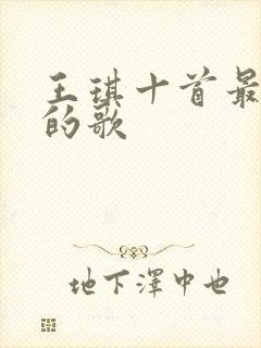 王琪十首最好听的歌