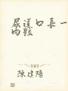 尿道口长一堆小肉粒