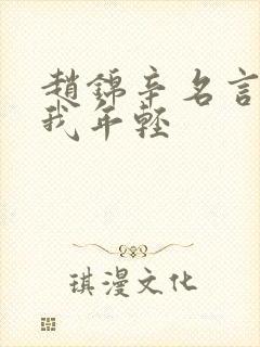 赵锦辛名言名句我年轻