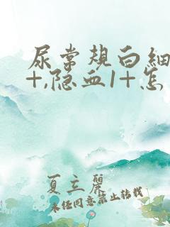 尿常规白细胞3+,隐血1+怎么回事