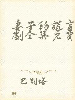 妻子的谎言电视剧全集免费观看最新