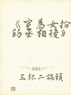 《穿为女扮男装的丞相后》