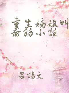 重生嫡姐叫沈南乔的小说