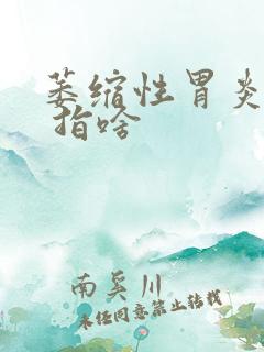 萎缩性胃炎c2 指啥