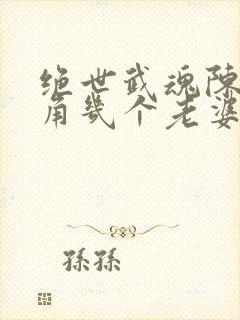 绝世武魂陈枫主角几个老婆