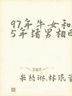 97年牛女和95年猪男相配婚姻如何