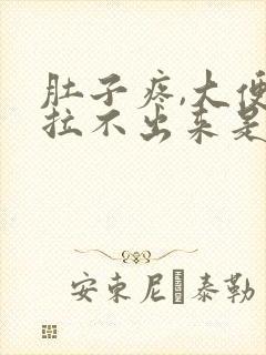 肚子疼,大便又拉不出来是什么原因