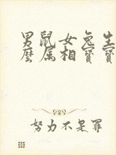 男鼠女兔生个什么属相宝宝