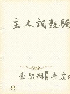 主人调教骚货h