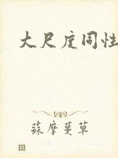 大尺度同性恋剧