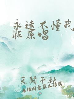 永远不懂我dj版原唱