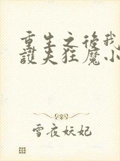 重生之后我成了护夫狂魔小说