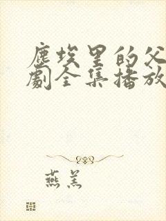 尘埃里的父亲短剧全集播放在线观看