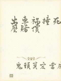 出车祸撞死人怎么赔偿