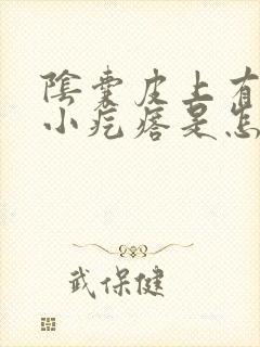 阴囊皮上有很多小疙瘩是怎么回事