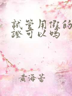 试管用假的结婚证可以吗