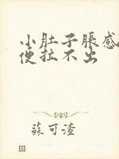 小肚子胀感觉有便拉不出