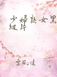 少妇熟女黑丝一级片