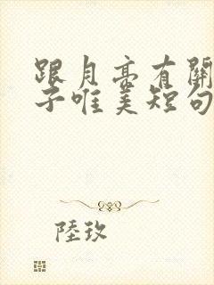 跟月亮有关的句子唯美短句