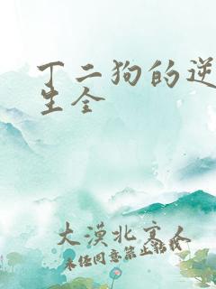 丁二狗的逆袭人生全