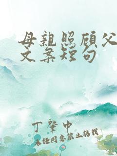 母亲照顾父亲的文案短句