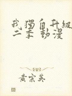 我独自升级 第二季 动漫