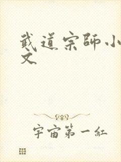 武道宗师小说全文