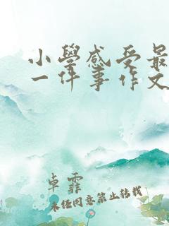 小学感受最深的一件事作文