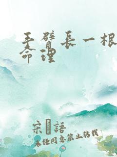 手臂长一根白毛命理