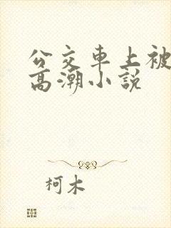 公交车上被插到高潮小说