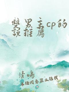 双男主cp的小说推荐