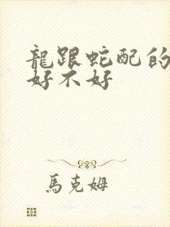 龙跟蛇配的婚姻好不好