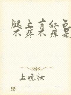 腿上有红色斑点不疼不痒是怎么回事