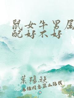 鼠女牛男属相婚配好不好