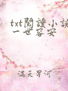 txt阅读小说一世容安