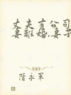 丈夫有公司,夫妻离婚,妻子如何争取利益