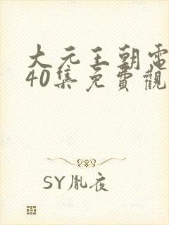 大元王朝电视剧40集免费观看高清