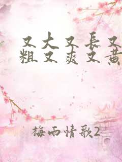 又大又长又硬又粗又爽又黄