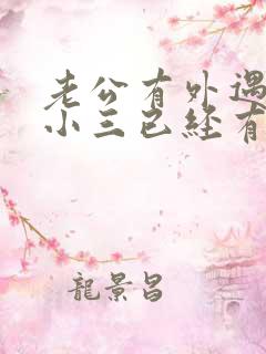 老公有外遇外面小三已经有小孩了该怎么办