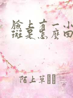 脸上有一小块黑斑是怎么回事