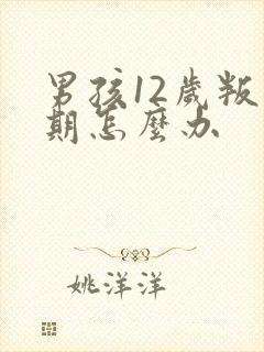 男孩12岁叛逆期怎么办