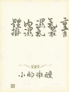 体内湿气重怎么排湿气最有效