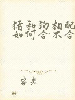 猪和狗相配婚姻如何合不合