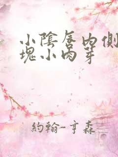 小阴唇内侧有一块小肉芽