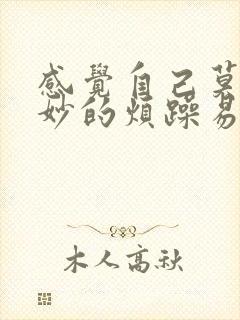 感觉自己莫名其妙的烦躁易怒情绪不稳定