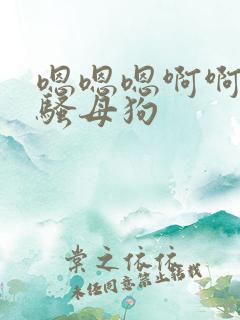 嗯嗯嗯啊啊啊啊骚母狗