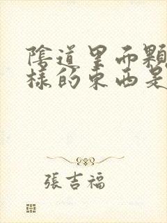 阴道里面颗粒一样的东西是啥